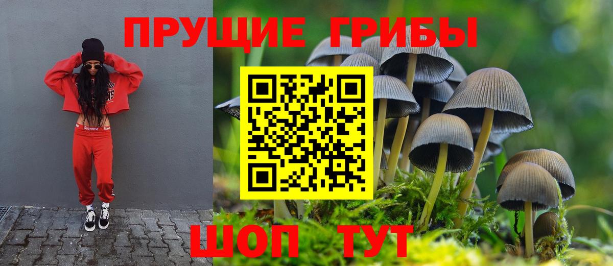 Галлюциногенные грибы прущие грибы Екатеринбург